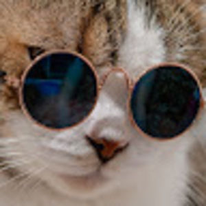 Meet your Posher, Roux